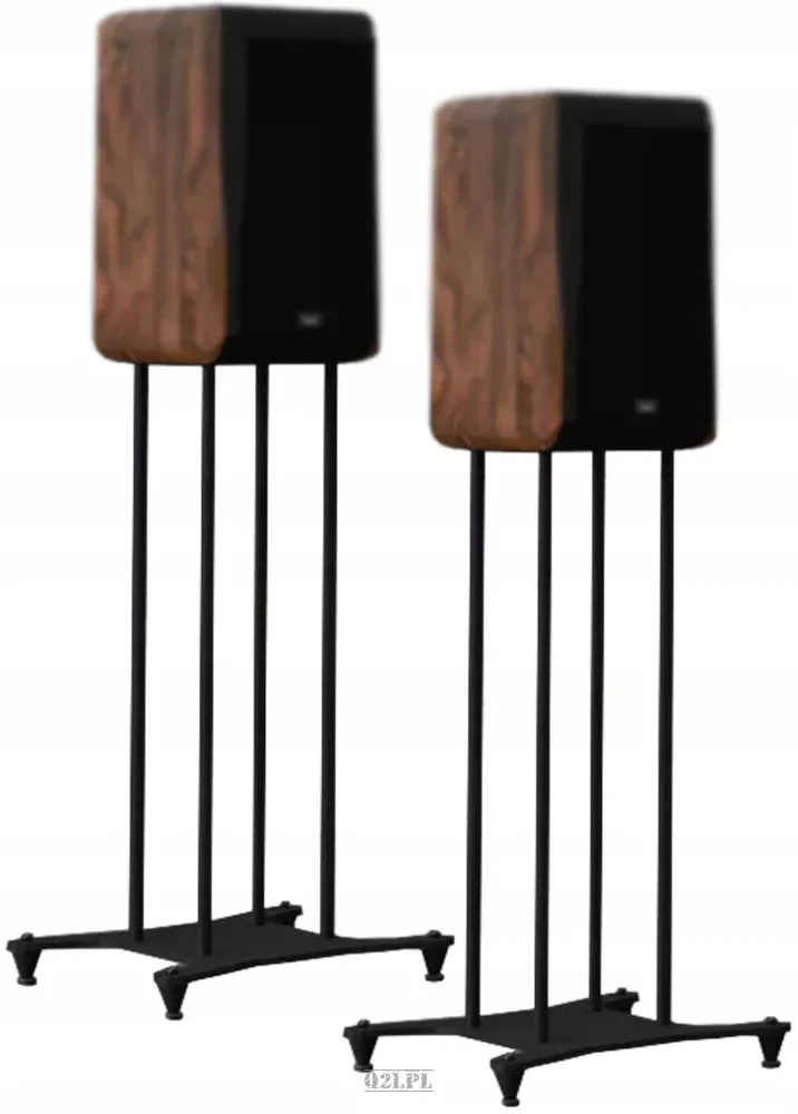 Chario Bookshelf Speakers Delphinus II Walnut - Image 4