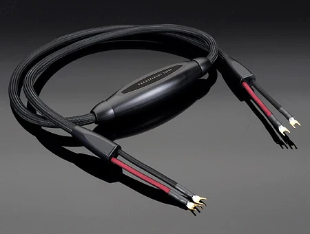Chario & Electrocompaniet Integrated Bliss System - Image 4