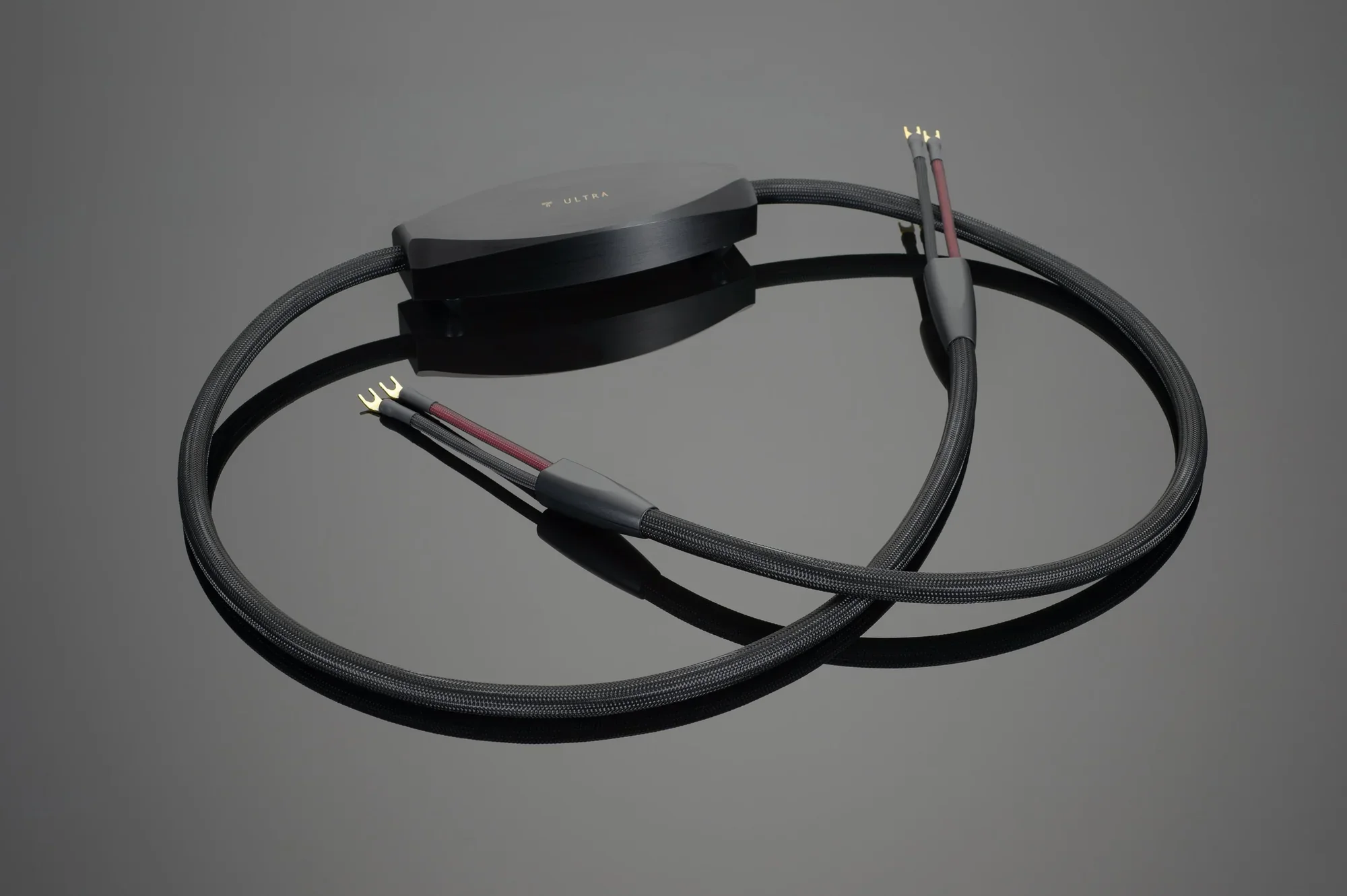 Chario & Electrocompaniet Reference System - Image 7