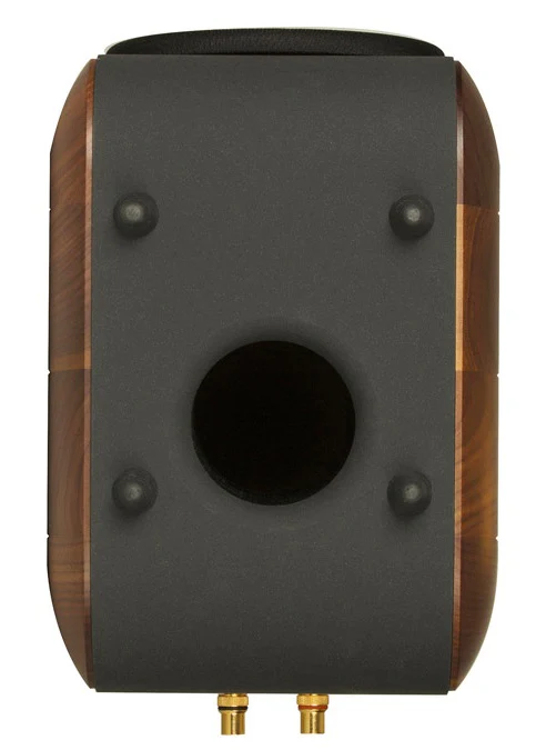 Chario Bookshelf Speakers Ghibli Walnut - Image 4