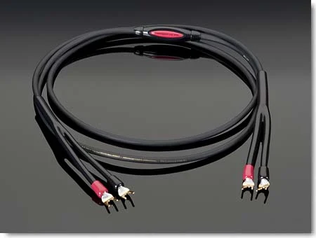 Primare & Chario Aase System - Image 5